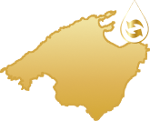 asesoramiento energético Mallorca Tot-sol | isla icono oro